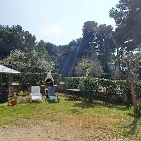 Apartmán Dorjan